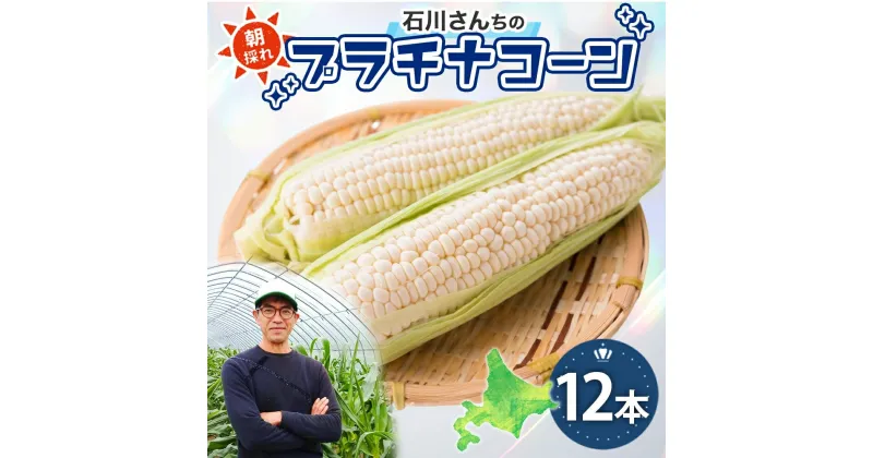 【ふるさと納税】北海道 月形町産 石川さんちの プラチナコーン 12本 白い とうもろこし コーン ホワイト 野菜 夏野菜 旬 生 完熟 甘い ジューシー 採れたて 新鮮 朝採れ お取り寄せ 産地直送 エーコープつきがた 送料無料　月形町　お届け：2025年7月中旬～8月中旬まで