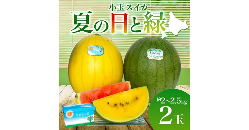 【ふるさと納税】北海道 小玉 スイカ 2種 セット 夏の日と緑 2～2.5kg 2玉 赤色 黄色 すいか 果物 フルーツ 旬 西瓜 甘い プレゼント ギフト 自家用 お中元 お取り寄せ 国産 ご褒美 産地直送 送料無料 エーコープつきがた　お届け：2025年7月10日～8月5日