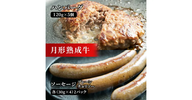 【ふるさと納税】【添加物不使用】月形熟成牛ハンバーグ・ソーセージセット（L）　 お肉 肉料理 肉の加工品 洋食 惣菜 黒毛和牛 赤身 熟成赤身肉使用 肉本来の旨み ヘルシー 塩分最低限 低塩