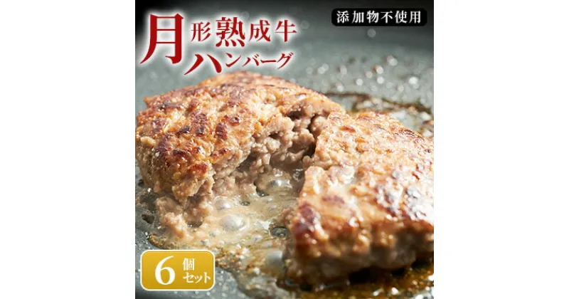 【ふるさと納税】【添加物不使用】月形熟成牛ハンバーグ 6個セット　 お肉 肉料理 肉の加工品 洋食 惣菜 黒毛和牛 赤身 熟成赤身肉使用 肉本来の旨み さっぱり ヘルシー