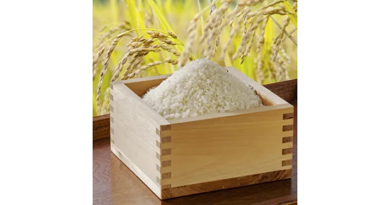 【ふるさと納税】〈令和6年産〉 浦臼産ななつぼし 精白米 10kg(5kg×2袋)【全国どこでもお届け！】 ななつぼし 精米 米 おこめ お米 ブランド米 白米 白ご飯 ごはん ご飯 北海道米 ブランド お取り寄せ 北海道 浦臼町 送料無料