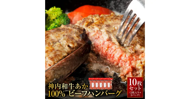 【ふるさと納税】 神内和牛あか 100%ビーフハンバーグ　10枚セット（2枚入り×5パック）