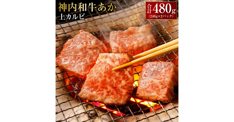 【ふるさと納税】 神内和牛あか 【上カルビ 】約240g×2パック 合計480g 肉 お肉 牛肉 カルビ 冷凍 北海道 浦臼町 送料無料