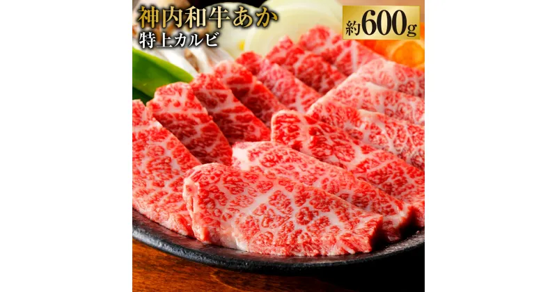 【ふるさと納税】神内和牛あか 【特上カルビ】約600g 1パック 肉 お肉 牛肉 カルビ 特上 冷凍 北海道 浦臼町 送料無料