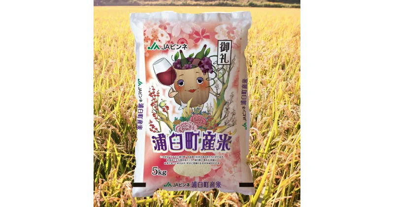 【ふるさと納税】【8回定期便】 浦臼産ななつぼし精白米 10kg(5kg×2袋) 8回配送定期便 米 お米 おこめ こめ 白米 ご飯 ごはん 白米 定期便 定期配送 定期 北海道 浦臼町 送料無料