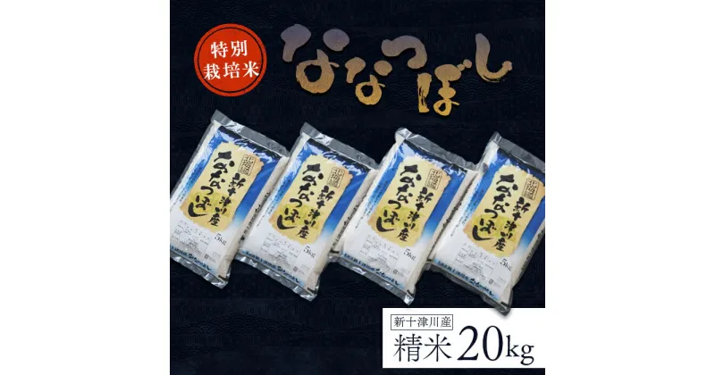 【ふるさと納税】新米 【令和6年度産】 ななつぼし 特別栽培米 20kg オンライン 申請 ふるさと納税 北海道 新十津川 北海道産 米 ブランド ブランド米 お米 北海道米 ご飯 令和6年 ギフト 贈り物 新十津川町【1100602】