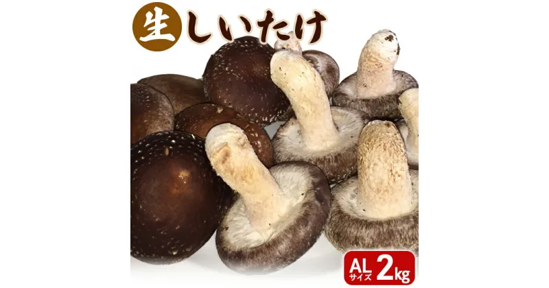 【ふるさと納税】生しいたけ ALサイズ 2kg 【10月〜3月発送】 オンライン 申請 ふるさと納税 北海道 新十津川 北海道産 生 しいたけ シイタケ 椎茸 菌床しいたけ AL 大容量 高品質 厳選 新十津川町【12005】