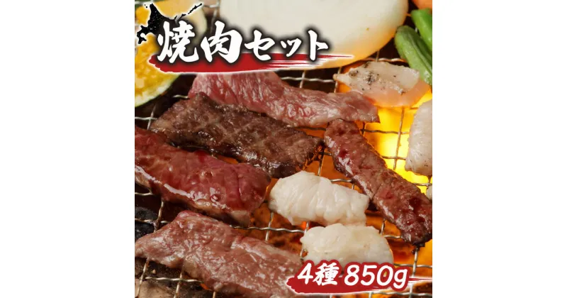 【ふるさと納税】【大畠精肉店】 焼肉セット（計4種×850g） オンライン 申請 ふるさと納税 北海道 新十津川 焼肉セット 焼き肉セット カルビ サガリ タン ホルモン 焼き肉 BBQ バーベキュー 冷凍 お取り寄せ 取り寄せ 新十津川【13009】