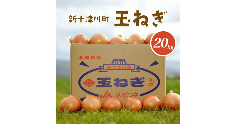 【ふるさと納税】玉ねぎ Lサイズ （20kg） 【令和6年10月〜12月中旬発送】 オンライン 申請 ふるさと納税 北海道 新十津川 北海道産 たまねぎ タマネギ 玉葱 大容量 新鮮 甘い 野菜 サラダ 新十津川町【12002】