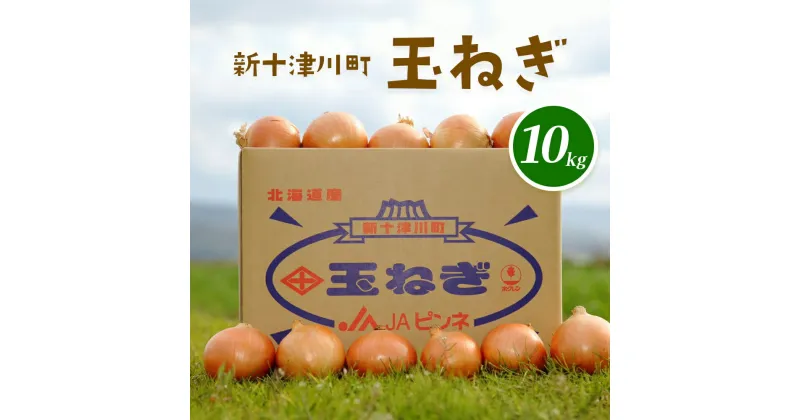 【ふるさと納税】北海道 玉ねぎ Lサイズ （10kg） 【令和6年10月〜12月中旬発送】 オンライン 申請 ふるさと納税 北海道 新十津川 9000 北海道 たまねぎ タマネギ 玉葱 大容量 新鮮 甘い 野菜 サラダ 新十津川町【12001】