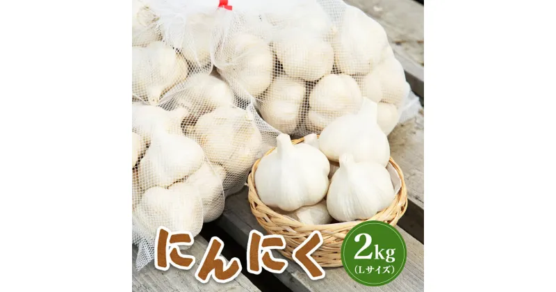 【ふるさと納税】にんにく 2kg （Lサイズ）【令和6年8月〜12月発送】 オンライン 申請 ふるさと納税 北海道 新十津川 北海道産 ニンニク L 大サイズ 訳あり 訳あり品 規格外品 大容量 肉厚 新十津川町【12004】