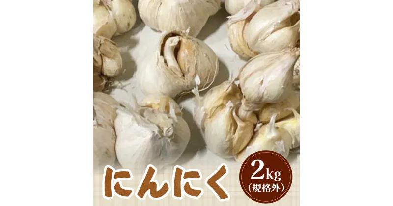 【ふるさと納税】【訳あり】 にんにく 2kg【令和6年8月〜12月発送】 オンライン 申請 ふるさと納税 北海道 新十津川 北海道産 ニンニク 訳あり 訳あり品 規格外品 大容量 肉厚 新十津川町【12003】