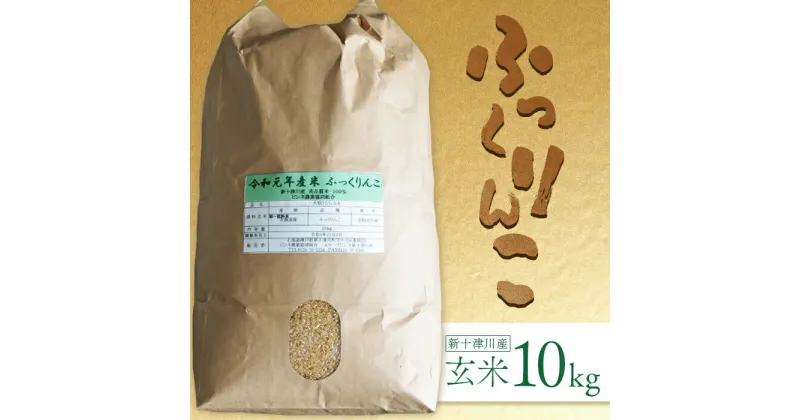 【ふるさと納税】新米【令和6年度産】 ふっくりんこ 玄米 10kg オンライン 申請 ふるさと納税 北海道 新十津川 北海道産 米 ブランド ブランド米 お米 北海道米 ご飯 ギフト 贈り物 新十津川町【1101802】