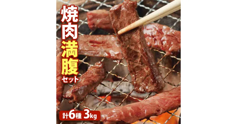 【ふるさと納税】大畠精肉店の焼肉満腹セット（計6種3kg） オンライン 申請 ふるさと納税 北海道 新十津川 焼肉セット 焼き肉セット カルビ サガリ ホルモン ジンギスカン 焼き肉 BBQ バーベキュー 冷凍 お取り寄せ 取り寄せ 新十津川町【13011】