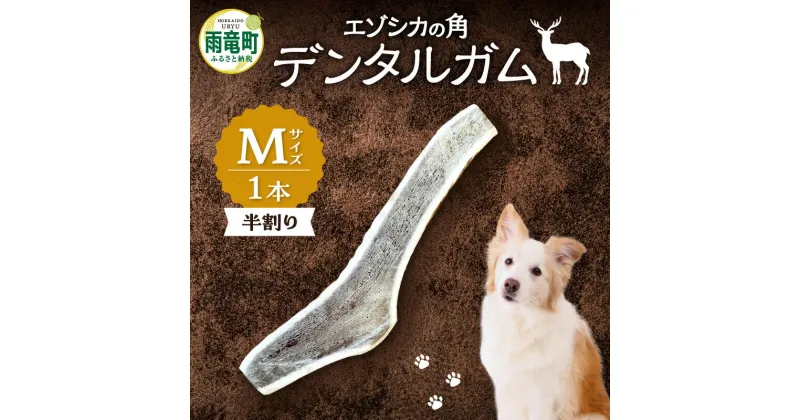 【ふるさと納税】【数量限定】エゾシカの角 デンタルガム Mサイズ 半割1本（中型犬向け）天然のガム 歯磨き粉 歯垢 歯石 除去 口臭予防 カルシウム リン ミネラル 豊富 健康維持 ストレス解消 野生の香り 噛みごたえ 北海道 雨竜町