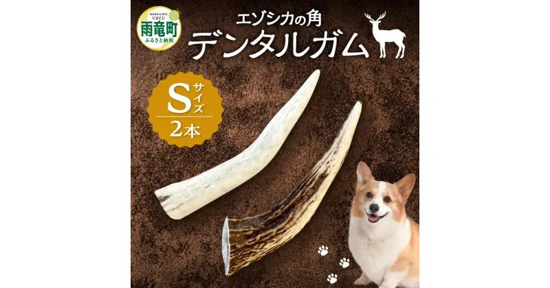 【ふるさと納税】 【数量限定】エゾシカの角 デンタルガム Sサイズ 天然のガム 歯磨き粉 歯垢 歯石 除去 口臭予防 カルシウム リン ミネラル 豊富 健康維持 ストレス解消 野生の香り 噛みごたえ 北海道 雨竜町