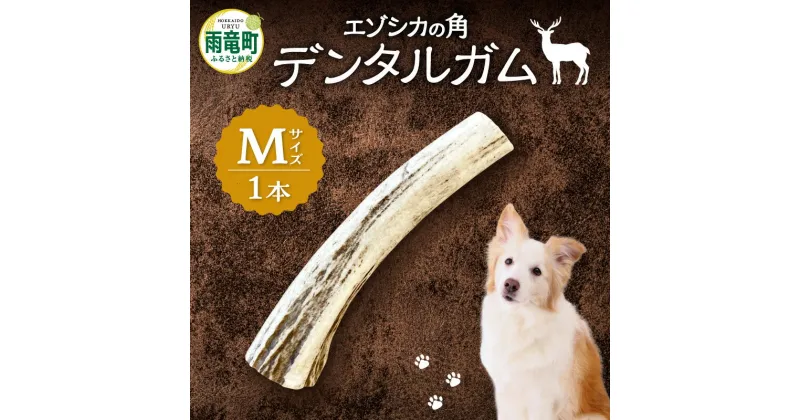 【ふるさと納税】【数量限定】エゾシカの角デンタルガムMサイズ（中型犬向け）天然のガム 歯磨き粉 歯垢 歯石 除去 口臭予防 カルシウム リン ミネラル 豊富 健康維持 ストレス解消 野生の香り 噛みごたえ 北海道 雨竜町