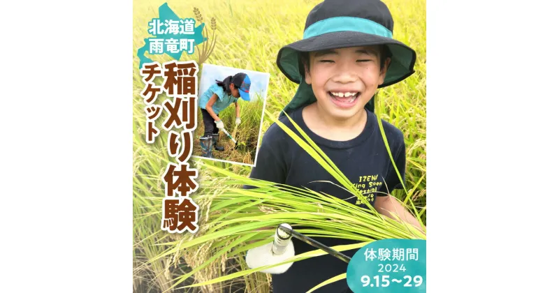 【ふるさと納税】野村農園 稲刈り 体験 チケット【体験期間：2024/9/15〜2024/9/29】 北海道 雨竜町 送料無料