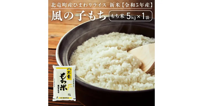 【ふるさと納税】【先行予約】【令和6年産 新米 11月発送】※9月30日0時より申込みは11月後半～12月発送対応※ 風の子もち もち米 5kg 低農薬米 北海道 北竜町産