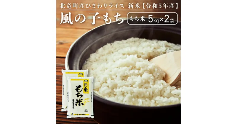 【ふるさと納税】【先行予約】【令和6年産 新米 11月発送】※9月30日0時より申込みは11月後半～12月発送対応※風の子もち もち米 10kg 低農薬米 北海道 北竜町産