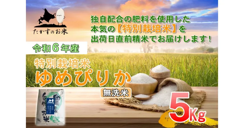 【ふるさと納税】【 令和6年産 】 ゆめぴりか （ 無洗米 ） 特Aランク 北海道 米 を代表する人気の品種 5kg 北海道 鷹栖町 たかすのお米 米 コメ こめ ご飯 無洗米 お米 ゆめぴりか コメ 無洗米