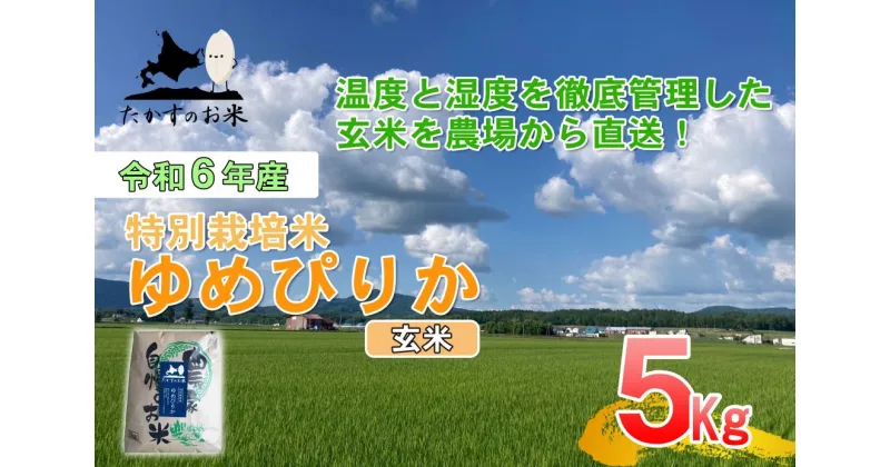 【ふるさと納税】【 令和6年産 】 ゆめぴりか （ 玄米 ） 特Aランク 北海道 米 を代表する人気の品種 5kg 北海道 鷹栖町 たかすのお米 米 コメ こめ ご飯 玄米 お米 ゆめぴりか コメ 玄米