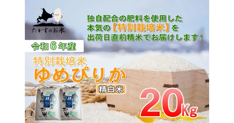 【ふるさと納税】【 令和6年産 】 ゆめぴりか （ 精 白米 ） 特Aランク 北海道 米 を代表する人気の品種 10kg×2袋 20kg 北海道 鷹栖町 たかすのお米 米 コメ こめ ご飯 白米 お米 ゆめぴりか コメ 白米