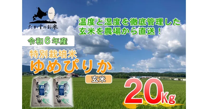 【ふるさと納税】【 令和6年産 】 ゆめぴりか （ 玄米 ） 特Aランク 北海道 米 を代表する人気の品種 10kg×2袋 20kg 北海道 鷹栖町 たかすのお米 米 コメ こめ ご飯 玄米 お米 ゆめぴりか コメ 玄米