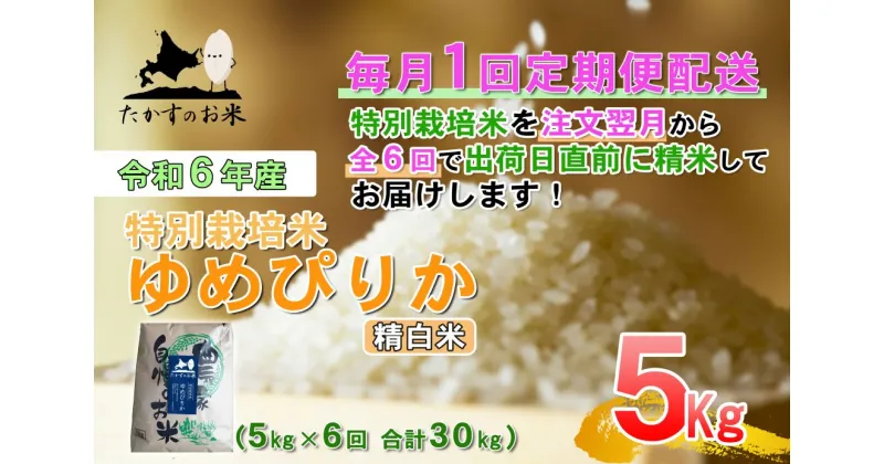 【ふるさと納税】定期便【令和6年産】ゆめぴりか（精白米）5kg×6回 特Aランク 北海道 米 を代表する人気の品種 北海道 鷹栖町 たかすのお米 特別栽培米 米 コメ ご飯 精 白米 お米 ゆめぴりか