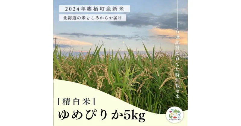 【ふるさと納税】【令和6年産】ゆめぴりか（精白米）特Aランク 5kg 北海道 鷹栖町 たかすのおむすび 米 コメ ご飯 精 白米 お米 ゆめぴりか