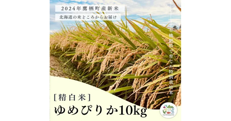 【ふるさと納税】【令和6年産】ゆめぴりか（精白米）特Aランク 10kg 北海道 鷹栖町 たかすのおむすび 米 コメ ご飯 精白米 お米 ゆめぴりか