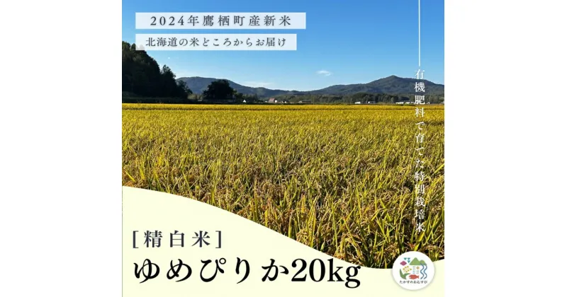 【ふるさと納税】【令和6年産】ゆめぴりか（精白米）特Aランク 10kg×2袋 20kg 北海道 鷹栖町 たかすのおむすび 米 コメ ご飯 精 白米 お米 ゆめぴりか