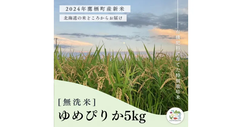 【ふるさと納税】【令和6年産】ゆめぴりか（無洗米）特Aランク 5kg 北海道 鷹栖町 たかすのおむすび 米 コメ ご飯 無洗米 お米 ゆめぴりか