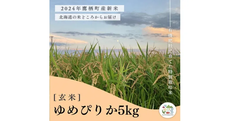 【ふるさと納税】【令和6年産】ゆめぴりか（玄米）特Aランク 5kg 北海道 鷹栖町 たかすのおむすび 米 コメ ご飯 玄米 お米 ゆめぴりか