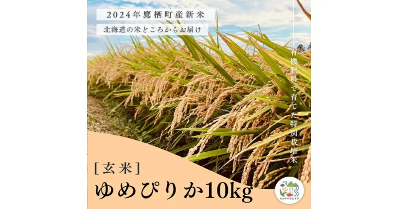 【ふるさと納税】【令和6年産】ゆめぴりか（玄米）特Aランク 10kg 北海道 鷹栖町 たかすのおむすび 米 コメ ご飯 玄米 お米 ゆめぴりか