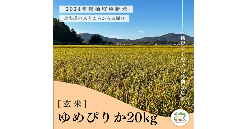 【ふるさと納税】【令和6年産】ゆめぴりか（玄米）特Aランク 10kg×2袋 20kg 北海道 鷹栖町 たかすのおむすび 米 コメ ご飯 玄米 お米 ゆめぴりか