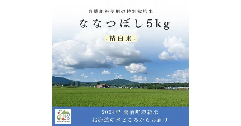 【ふるさと納税】【令和6年産】ななつぼし（精白米）特Aランク 5kg 北海道 鷹栖町 たかすのおむすび 米 コメ ご飯 精 白米 お米 ななつぼし