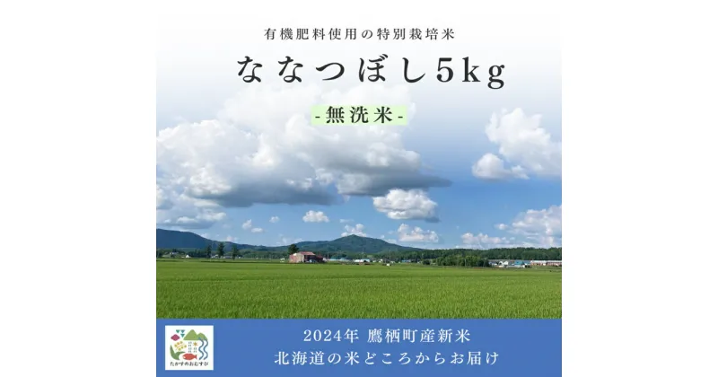 【ふるさと納税】【令和6年産】ななつぼし（無洗米）特Aランク 5kg 北海道 鷹栖町 たかすのおむすび 米 コメ ご飯 無洗米 お米 ななつぼし