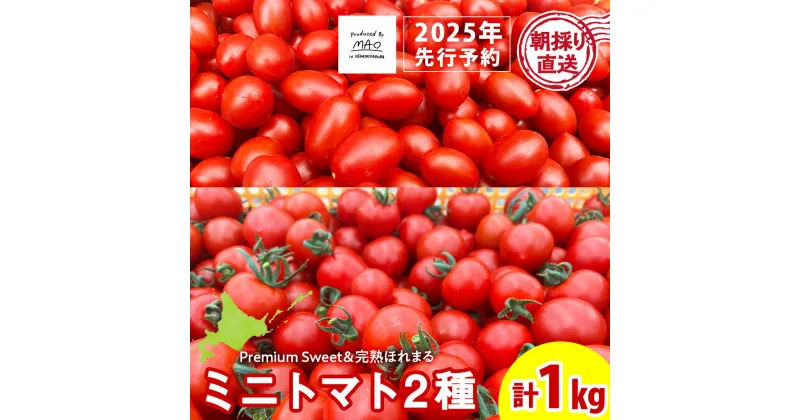 【ふるさと納税】【2025年先行予約】 朝採りフルーツミニトマト＆完熟ほれまる ミニトマト 1kgミニトマト 朝採り 新鮮 生鮮 野菜 トマト ふるさと納税 北海道 東神楽