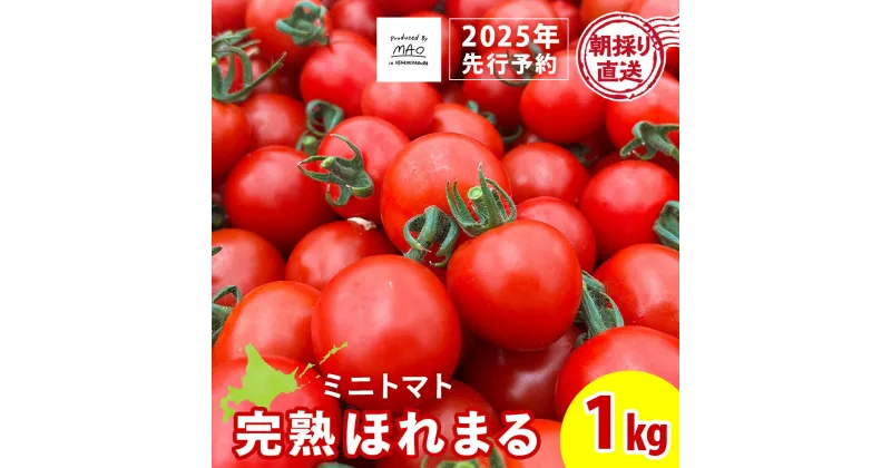 【ふるさと納税】【2025年先行予約】 【朝採れ最短発送！】完熟ほれまる ミニトマト1kgミニトマト 朝採り 新鮮 生鮮 野菜 トマト ふるさと納税 北海道 東神楽