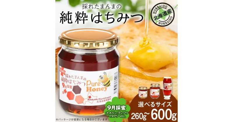 【ふるさと納税】東神楽産採れたまんまの純粋はちみつ 選べる260g～600g【9月採密】オオハンゴンソウ・イタドリ etc.はちみつ ハチミツ 蜂蜜 国産 非加熱 完熟 調味料 ハニー 純粋 東神楽ふるさと納税 北海道ふるさと納税