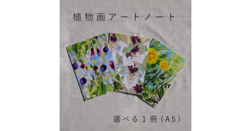 【ふるさと納税】ノート A5 アート 植物画 選べる1冊 無地 方眼紙 罫線 a5 KOO’S GARDEN 送料無料 クーズガーデン 2000円 台 3000円 以下 5000円 以下