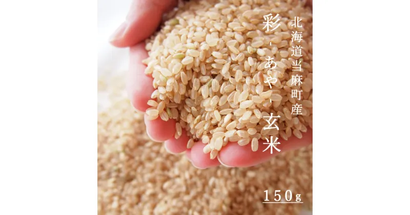 【ふるさと納税】 玄米 彩 あや 150g 1合 北海道米 こめ 米 1000円台 2000円 3000円 当麻町 長谷川農園 北海道産 北海道米 送料無料 お取り寄せ 買い回り