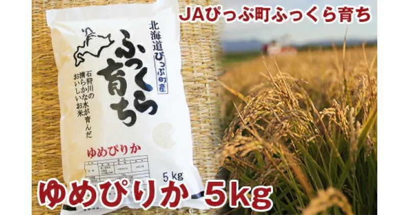 【ふるさと納税】2024年産　JAぴっぷ町　ゆめぴりか 精米5kg