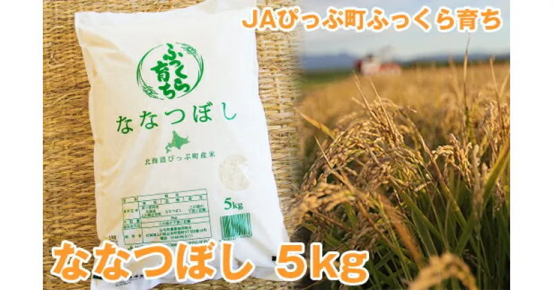 【ふるさと納税】2024年産　JAぴっぷ町　ななつぼし 精米5kg