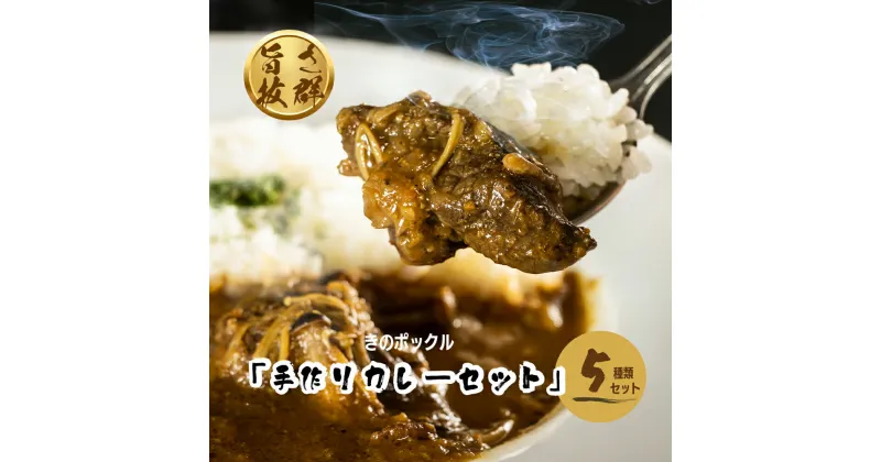 【ふるさと納税】きのポックル「手作りカレー（5種類）セット」 手作りカレー レトルトカレー 【E11201】