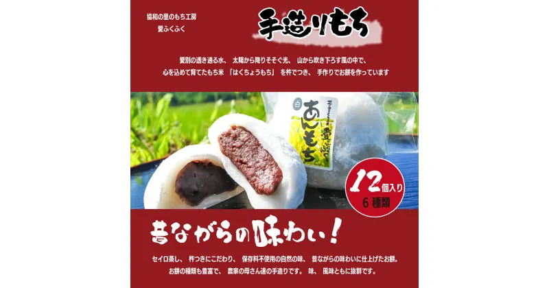 【ふるさと納税】 手造り あんもち 愛ふくふく「あんもち（6種類12個入り）セット」 あんころもち 【E13203】