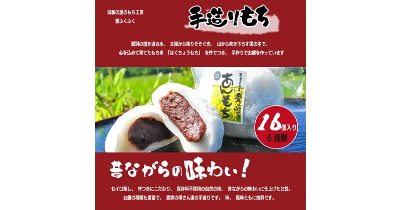 【ふるさと納税】 手造り あんもち 愛ふくふく「あんもち（6種類16個入り）セット」 あんころもち 【E14204】