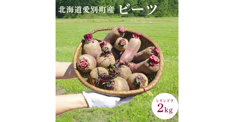 【ふるさと納税】季節限定　ビーツ（シリンドラ）2kg【B06401】