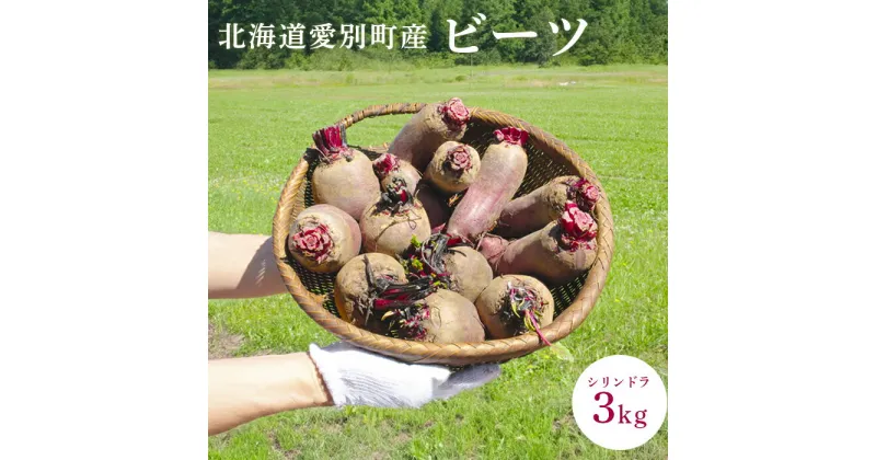 【ふるさと納税】季節限定　ビーツ（シリンドラ）3kg【B10404】